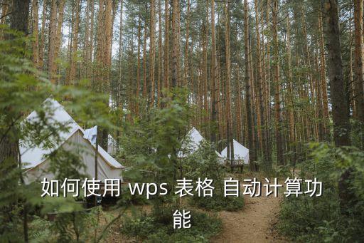 安卓wps表格自動運算,wps表格添加自動計算公式省時方便