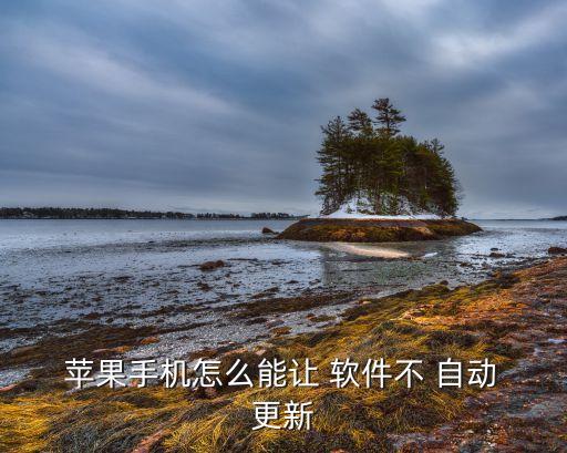 蘋果不讓自動更新軟件,如何進行蘋果軟件自動更新?