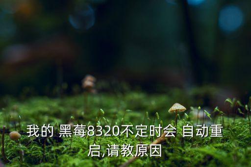 我的 黑莓8320不定時(shí)會 自動重啟,請教原因
