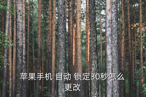  蘋果手機 自動 鎖定30秒怎么 更改