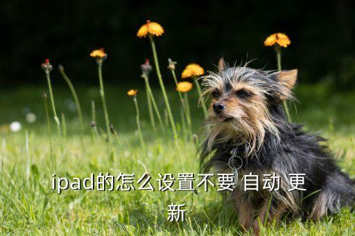  ipad的怎么設(shè)置不要 自動(dòng) 更新