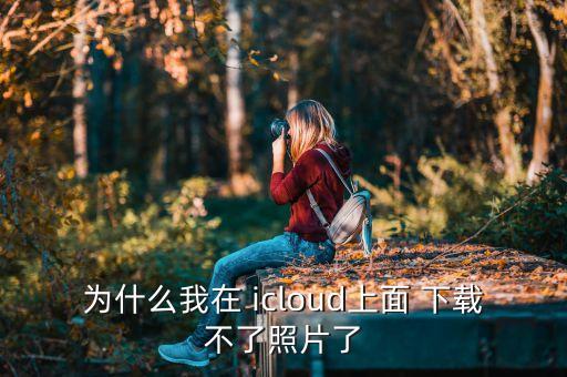 icloud 不自動下載照片,怎么用icloud查看照片?