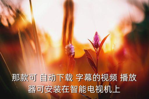 能自動找字幕的播放器,手機播放器如何加載插件字幕?方法如下