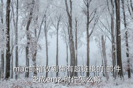 mac自動下載郵件附件