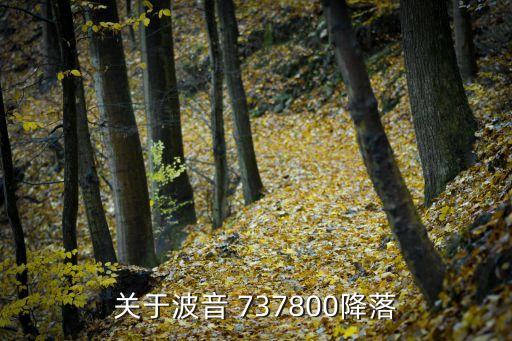 關(guān)于波音 737800降落