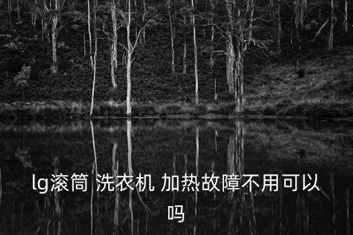 lg滾筒 洗衣機 加熱故障不用可以嗎