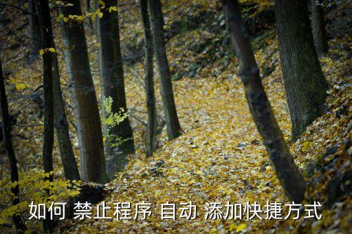 如何 禁止程序 自動(dòng) 添加快捷方式