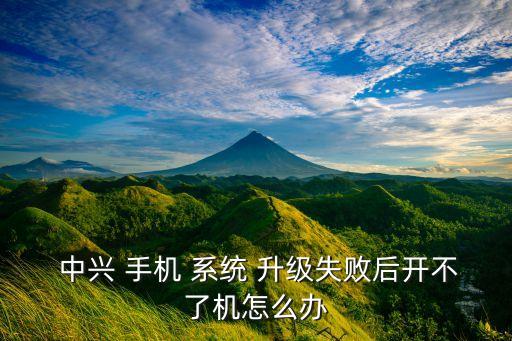  中興 手機(jī) 系統(tǒng) 升級失敗后開不了機(jī)怎么辦