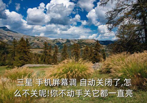  三星 手機(jī)屏幕調(diào) 自動(dòng)關(guān)閉了,怎么不關(guān)呢!你不動(dòng)手關(guān)它都一直亮
