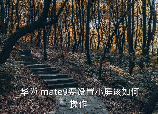 華為mate9如何自動(dòng)讀屏,華為mate9如何連接u盤?