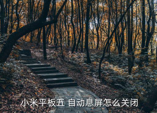  小米平板五 自動(dòng)息屏怎么關(guān)閉