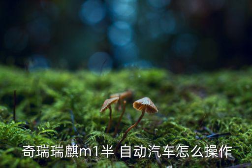 奇瑞老總自動(dòng)檔視頻,瑞虎3自動(dòng)車輛變速箱工作原理如下