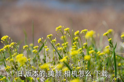 自動(dòng)美顏相機(jī)最新版本下載安裝,如何下載美顏相機(jī)?
