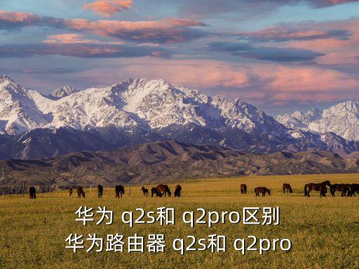 華為q2 自動關(guān)機,路由器q2s和q2pro區(qū)別