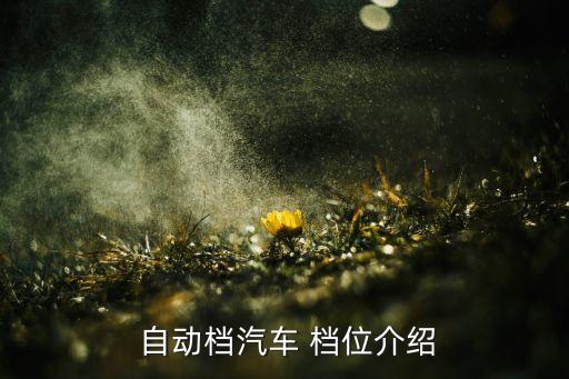 amd自動(dòng)檔位介紹,自動(dòng)擋車子怎么開?