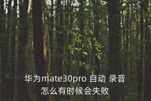 華為mate30pro 自動(dòng) 錄音怎么有時(shí)候會失敗