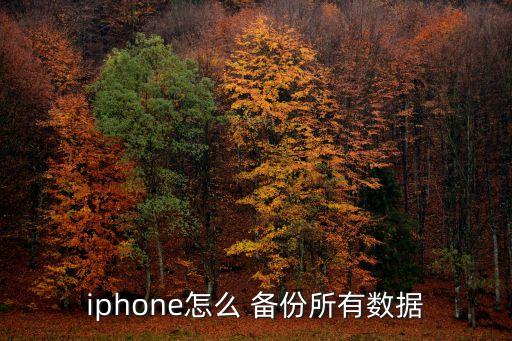 iphone怎么 備份所有數(shù)據(jù)