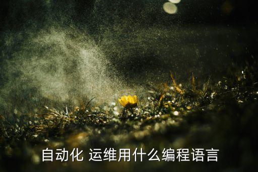  自動(dòng)化 運(yùn)維用什么編程語(yǔ)言