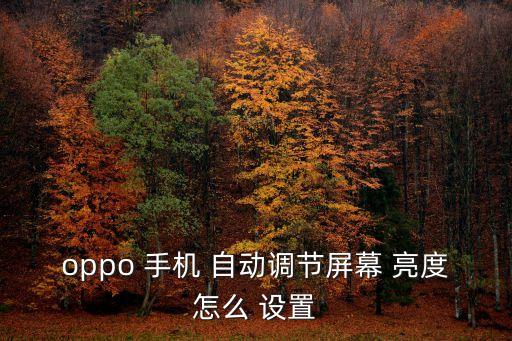 oppo 手機 自動調(diào)節(jié)屏幕 亮度怎么 設置