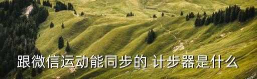 樂(lè)動(dòng)力自動(dòng)計(jì)步,健康應(yīng)用le動(dòng)力全天記錄用戶運(yùn)動(dòng)行為