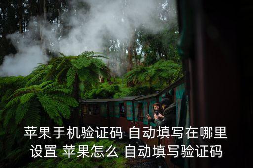  蘋果手機(jī)驗證碼 自動填寫在哪里 設(shè)置 蘋果怎么 自動填寫驗證碼