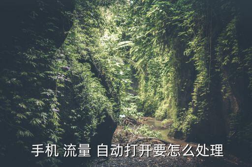  手機 流量 自動打開要怎么處理