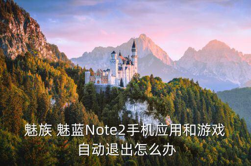 魅族 魅藍(lán)Note2手機應(yīng)用和游戲 自動退出怎么辦