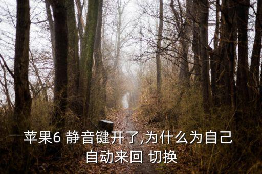 6plus靜音狀態(tài)自動切換,蘋果手機(jī)屏幕上的點取消靜音