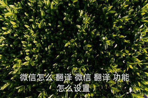 蘋果微信自動翻譯功能,怎么用微信翻譯文字?