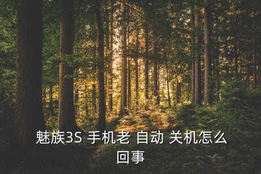  魅族3S 手機老 自動 關(guān)機怎么回事