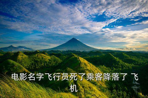  電影名字飛行員死了乘客降落了 飛機(jī)