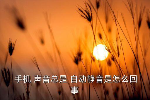 mx3手機(jī)自動(dòng)關(guān)聲音