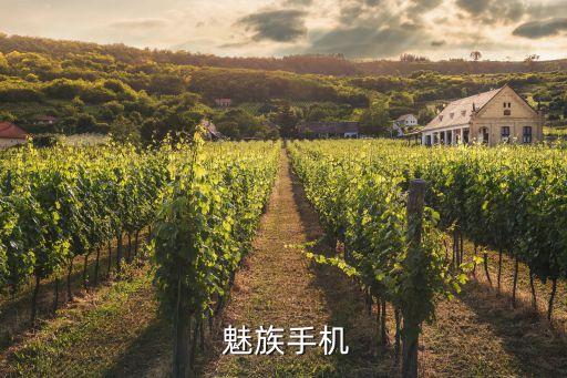  魅族手機(jī)