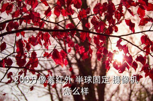 200萬像素紅外 半球固定 攝像機怎么樣