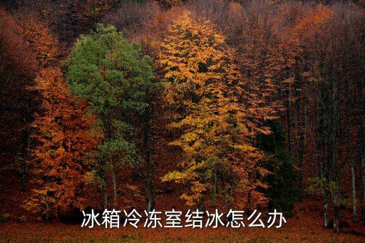 自動(dòng)制冰冰箱出冰效果,冰箱冰融化后怎么做?