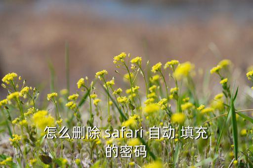 怎么刪除 safari 自動 填充的密碼
