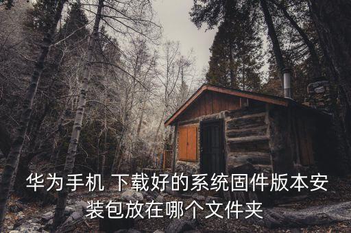 華為自動(dòng)下載安裝包在哪里找,如何進(jìn)入手機(jī)應(yīng)用市場?