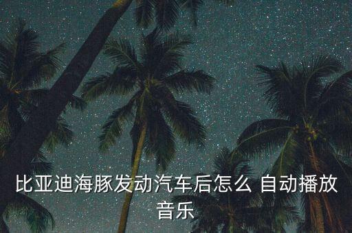 比亞迪海豚發(fā)動(dòng)汽車(chē)后怎么 自動(dòng)播放音樂(lè)
