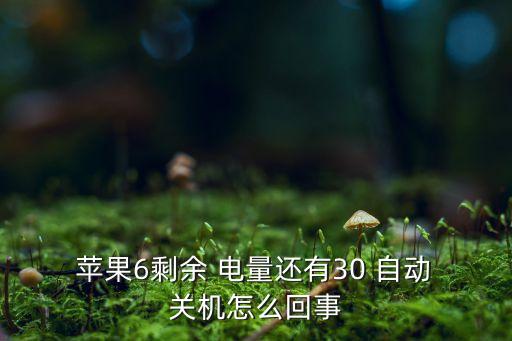 蘋果電量30自動(dòng)關(guān)機(jī),手機(jī)充電時(shí)注意事項(xiàng)