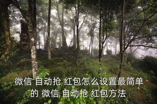 微信騎士自動搶紅包