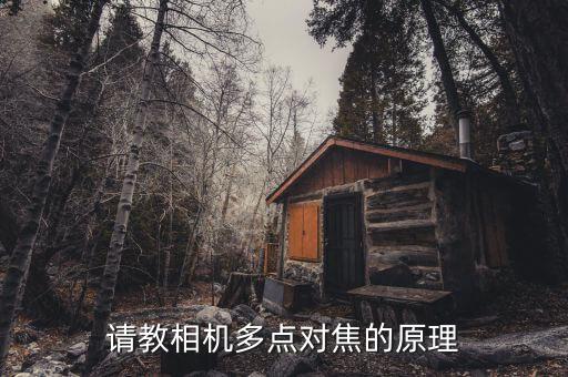 請(qǐng)教相機(jī)多點(diǎn)對(duì)焦的原理