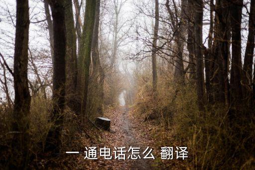 一 通電話怎么 翻譯