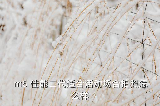 佳能m6自動美顏,m6佳能二代適合在活動上拍照嗎?