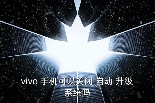 vivo 手機(jī)可以關(guān)閉 自動(dòng) 升級(jí)系統(tǒng)嗎
