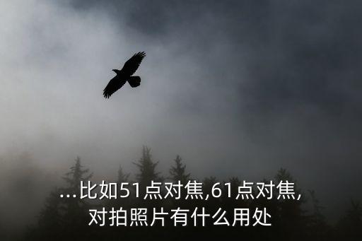 什么是61點自動對焦,手動云臺61點全開只能對焦中心點