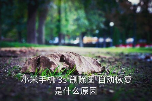  小米手機 3s 刪除圖 自動恢復(fù)是什么原因