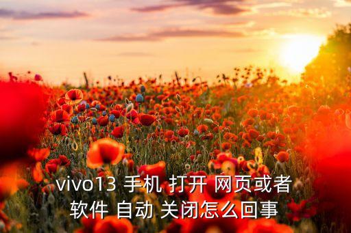 vivo13 手機(jī) 打開(kāi) 網(wǎng)頁(yè)或者軟件 自動(dòng) 關(guān)閉怎么回事