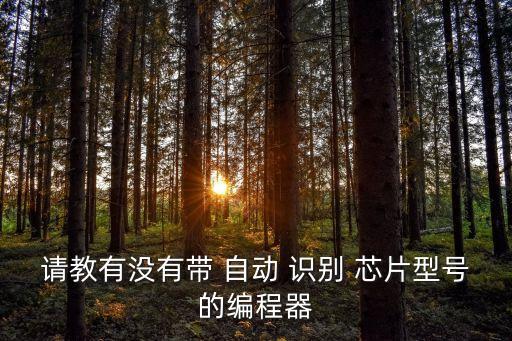 請(qǐng)教有沒(méi)有帶 自動(dòng) 識(shí)別 芯片型號(hào)的編程器