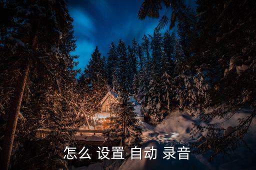 怎么 設(shè)置 自動(dòng) 錄音