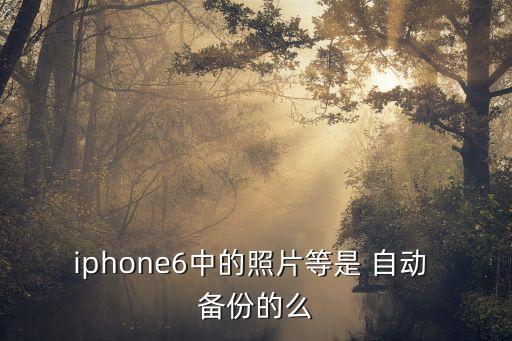 仿制iPhone 自動備份,如何在手機(jī)上備份數(shù)據(jù)?